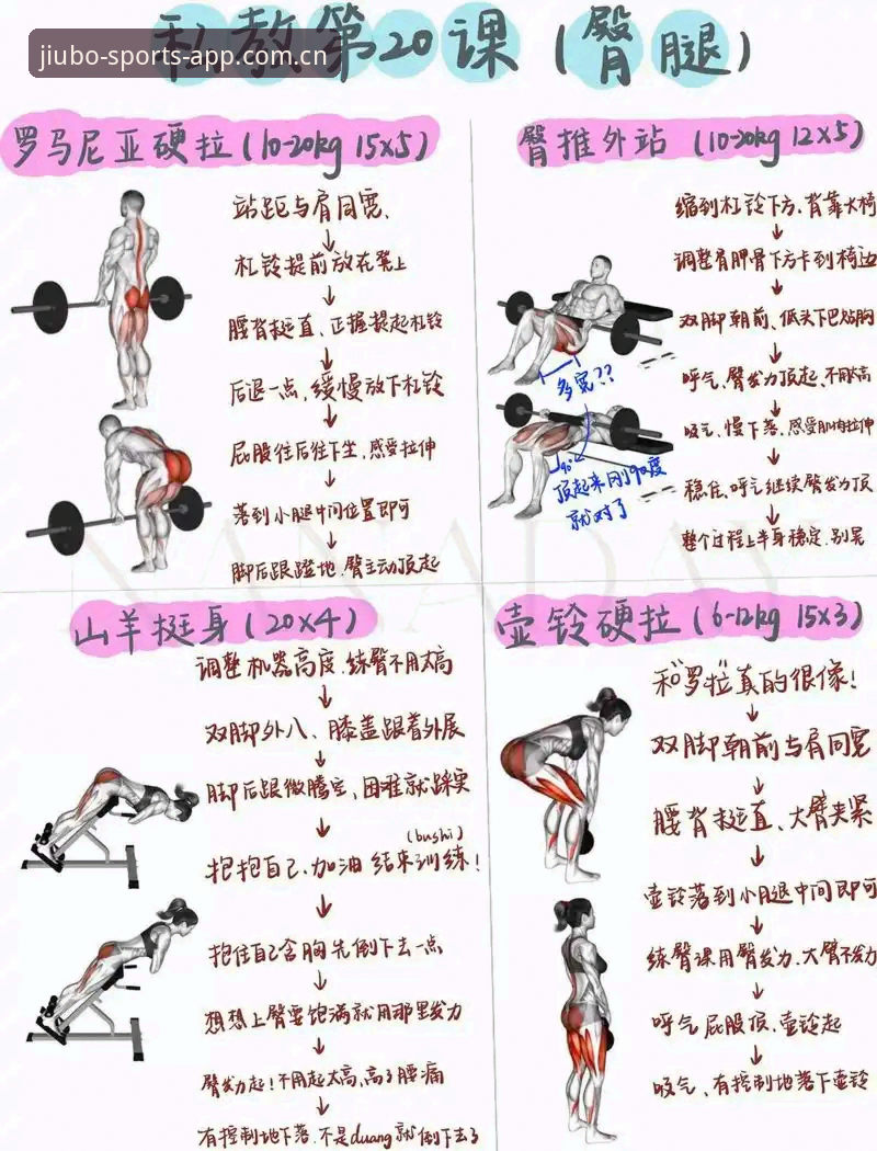 九博体育从入门到精通：5个必知的使用技巧与完整指南